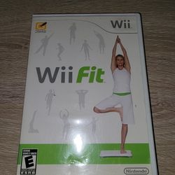 Nintendo Wii Fit game 