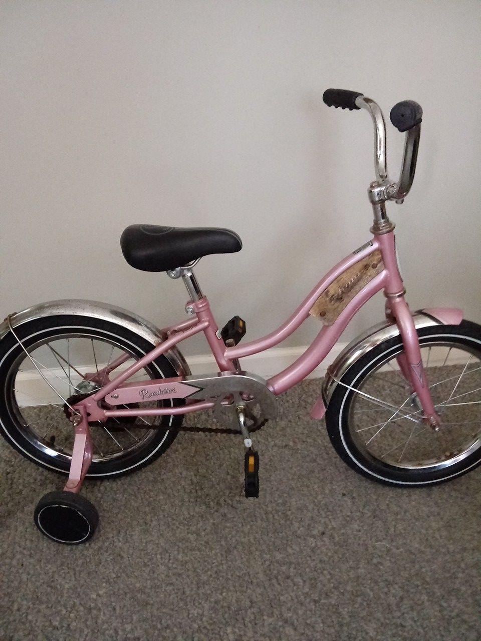 RARE GIRLS SCHWINN ROADSTER 100 BUCKS