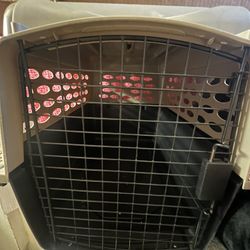 medium crate