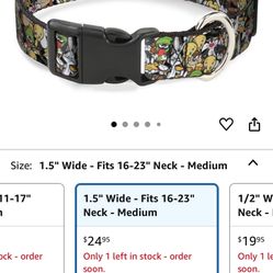 Looney Tunes Medium Dog Collar 