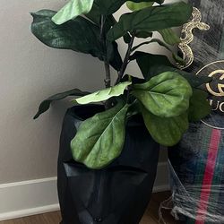 Black Modern Pot For Plants