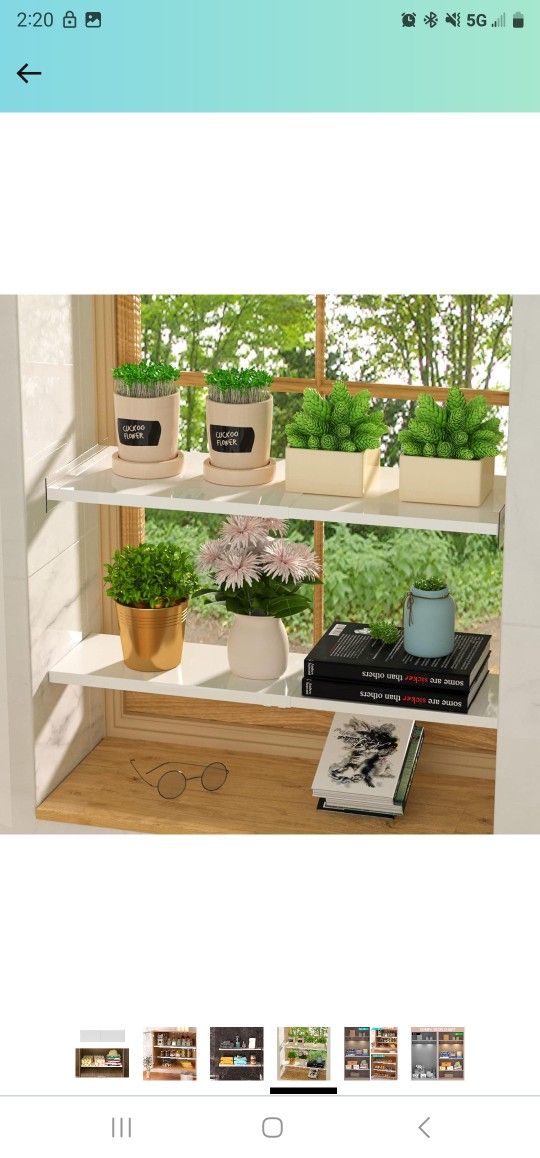 Shelf
