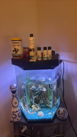 35 gallon fish tank included everything