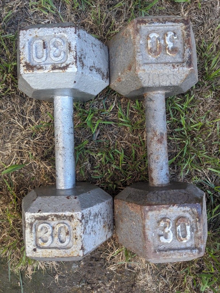 Pair Of 30lb Dumbbells 