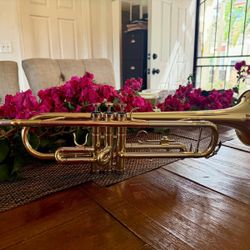 🎺 Kaizer Trumpet for Sale 
