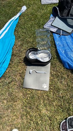 Pet water dispenser