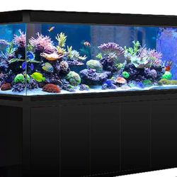 300 Gallon Fish Tank W/ Equipment 
