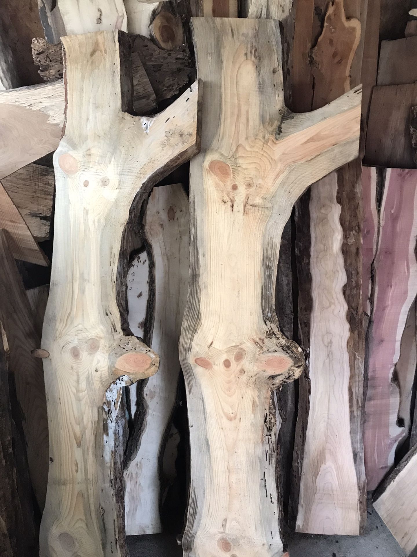 Live Edge Blue Pine