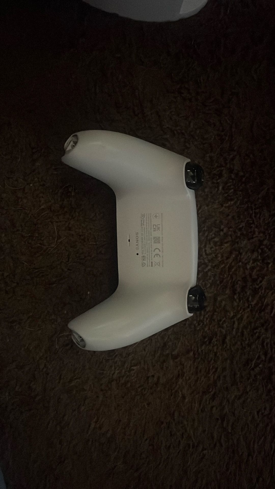 Ps5 Controller Missing Thumbsticks 
