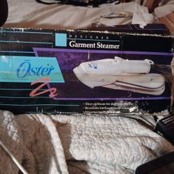 Designer Garment Steamer