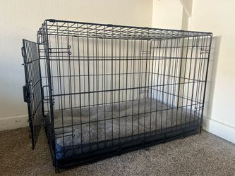 Large Dog Crate + Plush Bed Bundle — $55 OBO 🐶
