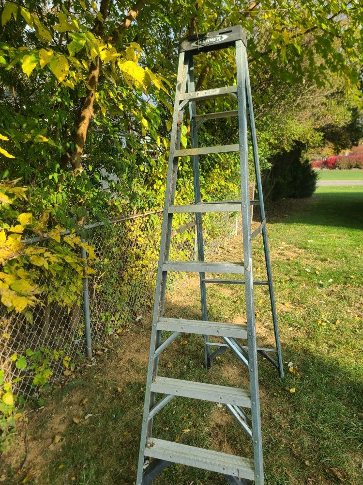 Werner 8' Step Ladder 