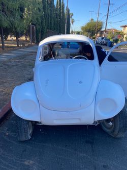 VW Bug