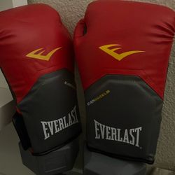 14 Oz Boxing Gloves