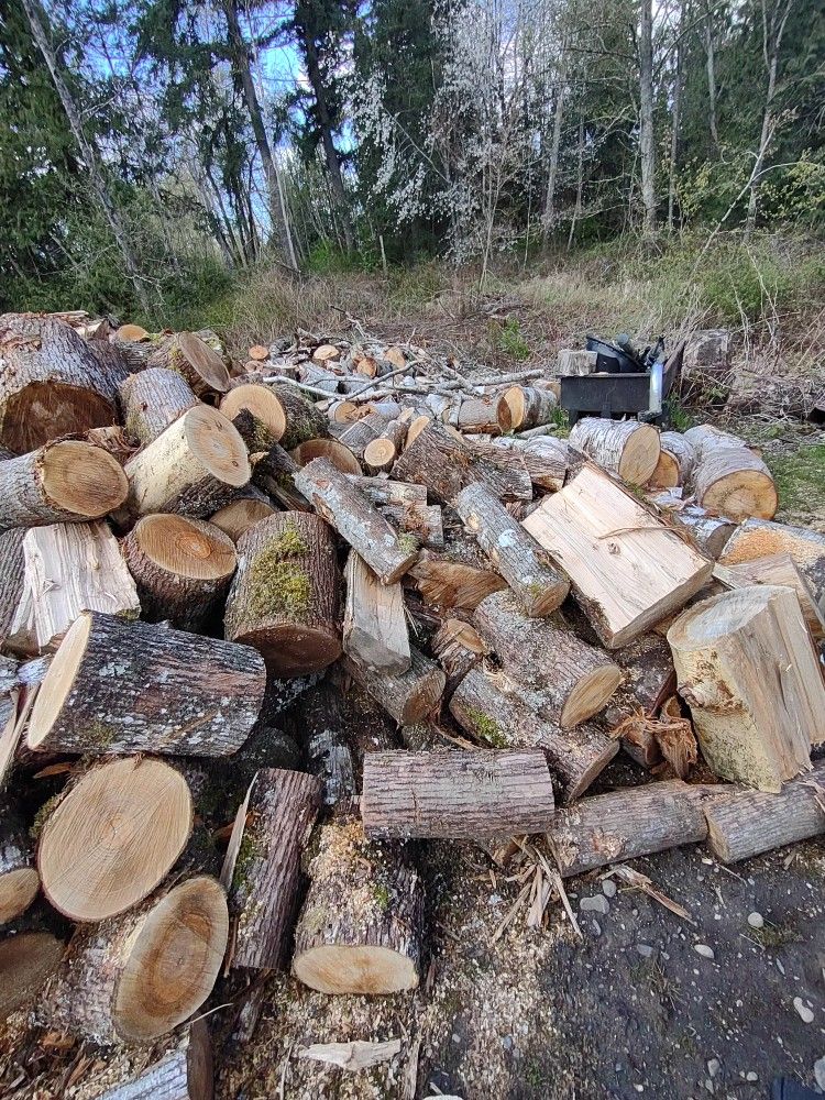 Fire Wood. 300$ .Just Over A Full Cord. Maple,Alder,Birch,Fur,Cedar.