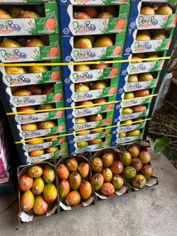 Mango 🥭 $7 la caja