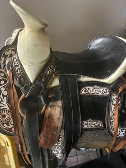 Saddle horse