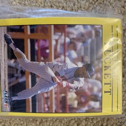 1991 Fleer Twins Baseball Card Set