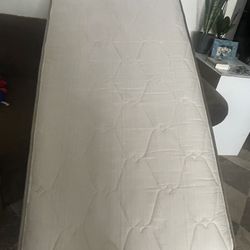 Box Spring And Mattress 