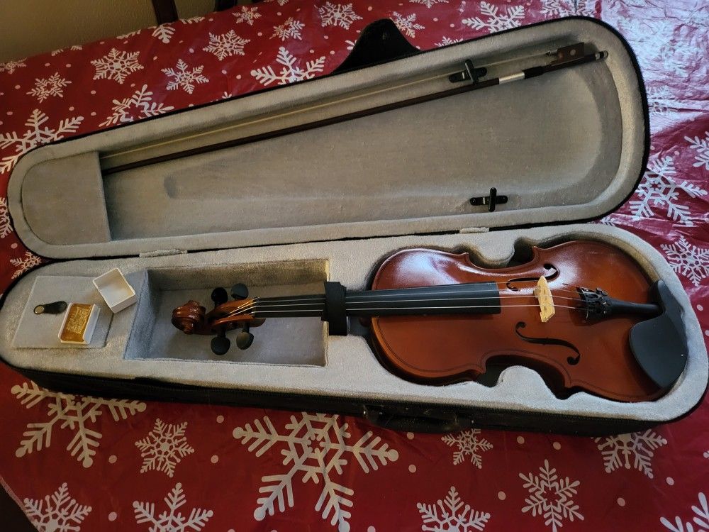 Violin