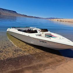 Boat Seaswirl Spyder