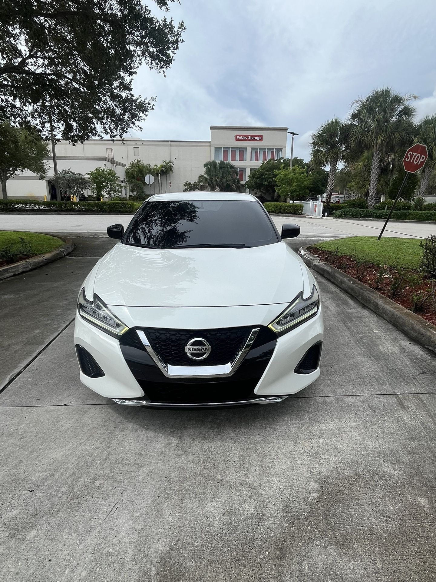 2019 Nissan Maxima