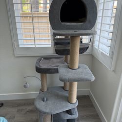 Cat Tree