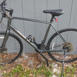 Trek FX 2 Flat Bar Bike
