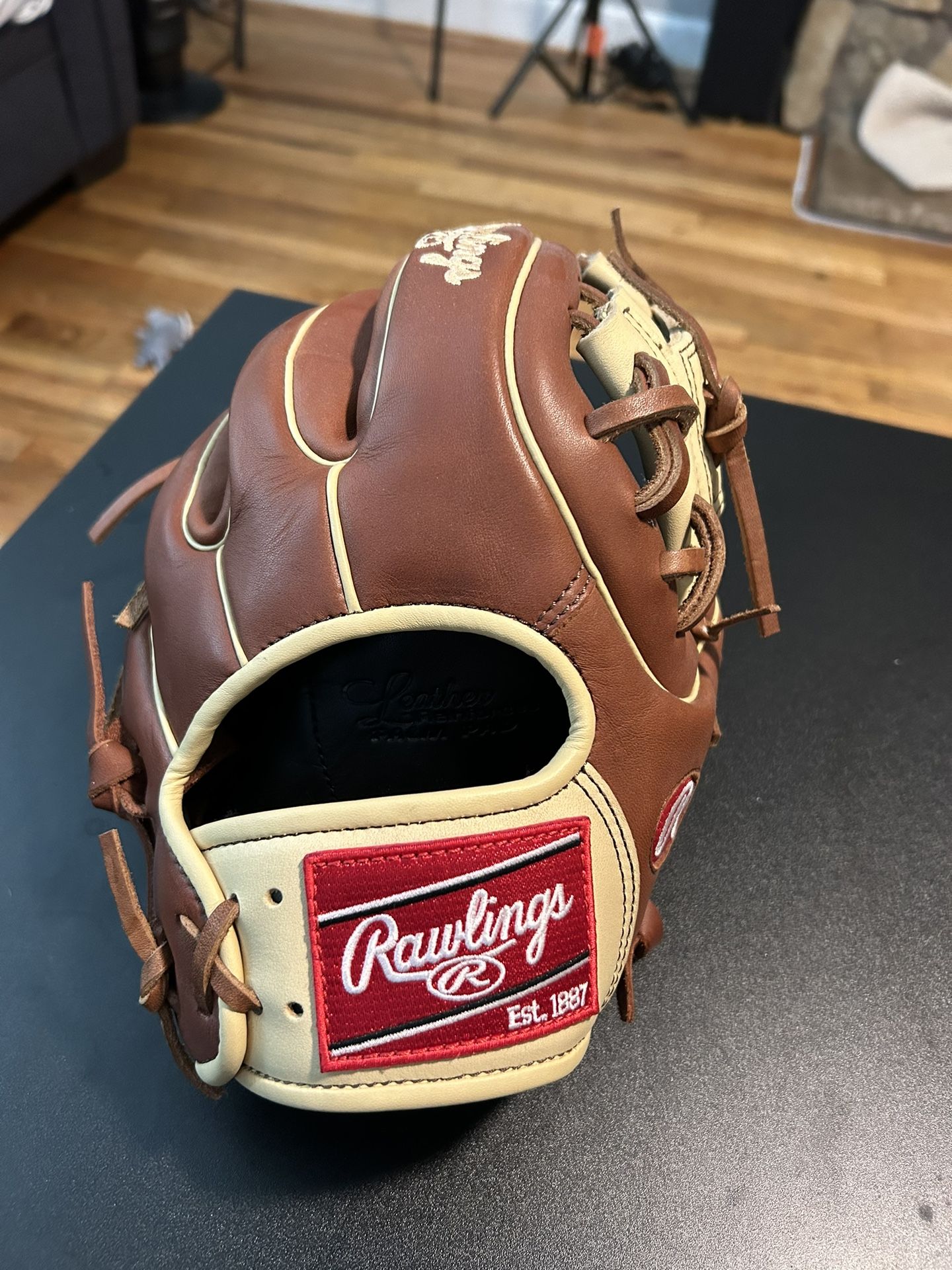 Rawlings GG Elite Baseball Glove