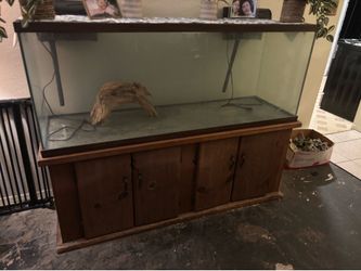 Fish tank 100 gal