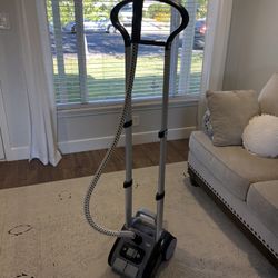 Rowenta IS9100  Precision Valet Steamer