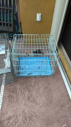Dog Cage 