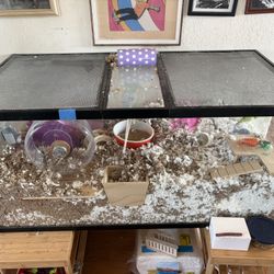 Large Hamster Enclosure 