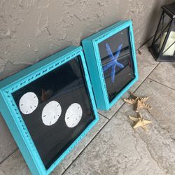 Shadow Boxes With Sea Shells Nice Display Ready To Hang 