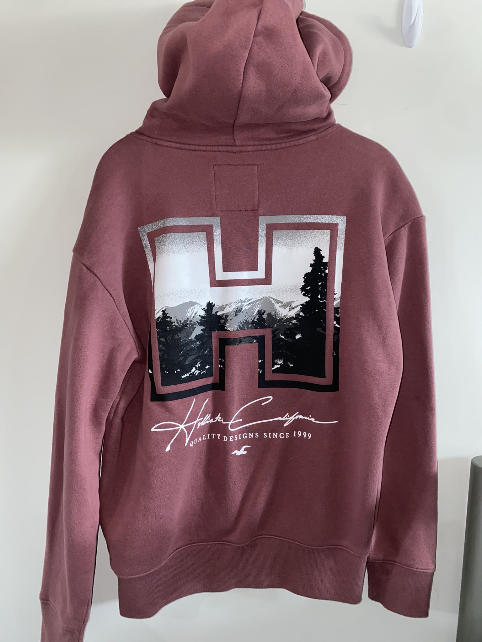 Hollister Hoodie- Like New
