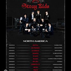 2 tickets to see stray kids