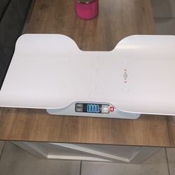 Baby Scale ( Brand New) 2 In 1 Greater Goods Baby Scale 