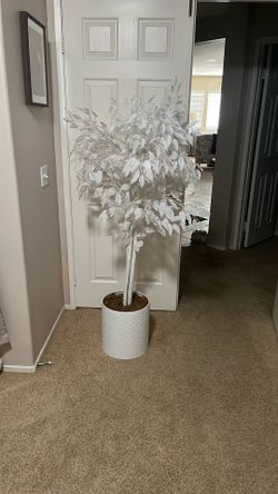 White Ficus Silk Plant 