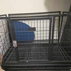 Dog Crate