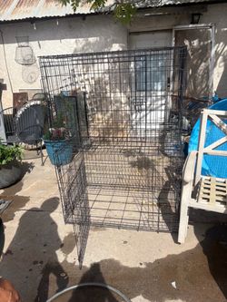 Large dog kennels