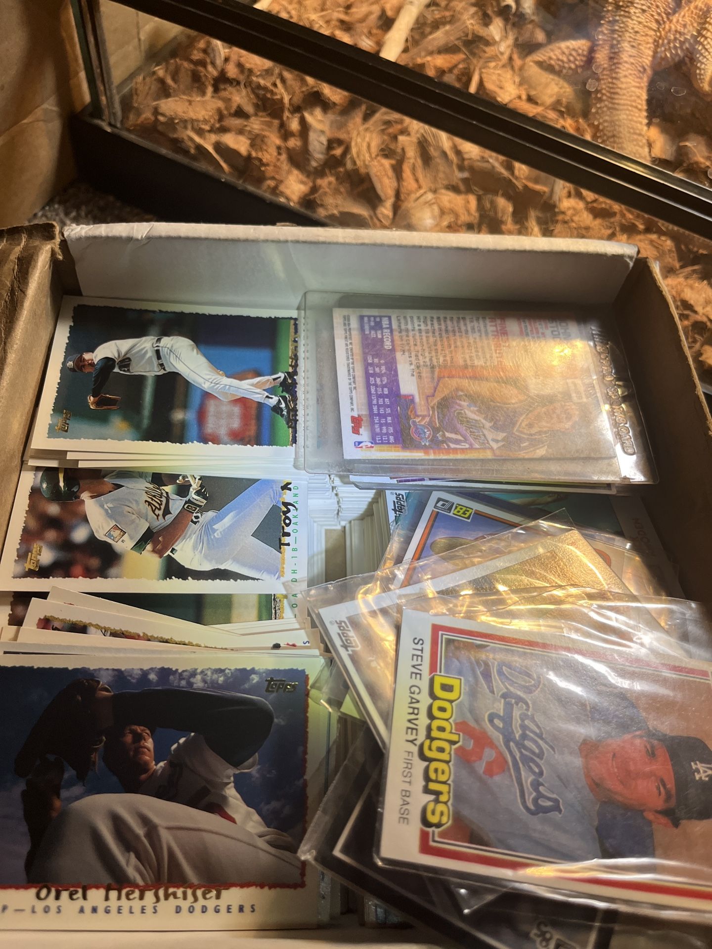 Baseball Cards Vintage And New