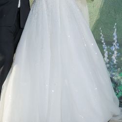 Wedding Dress And Veil