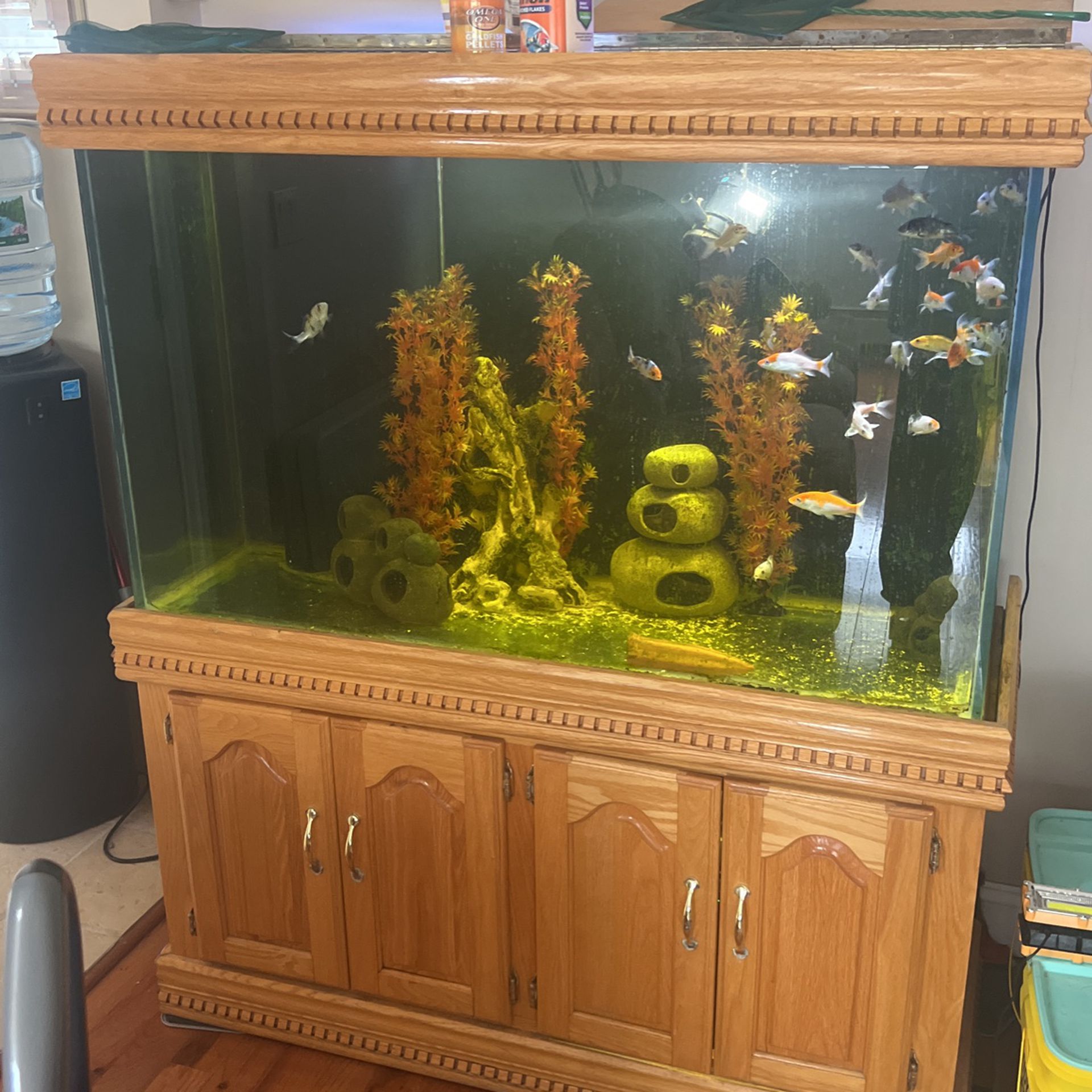 100 gallon fish tank with oak stand and Top and underneath filter
