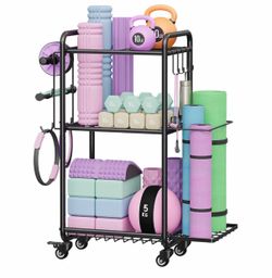 Gym storage rack