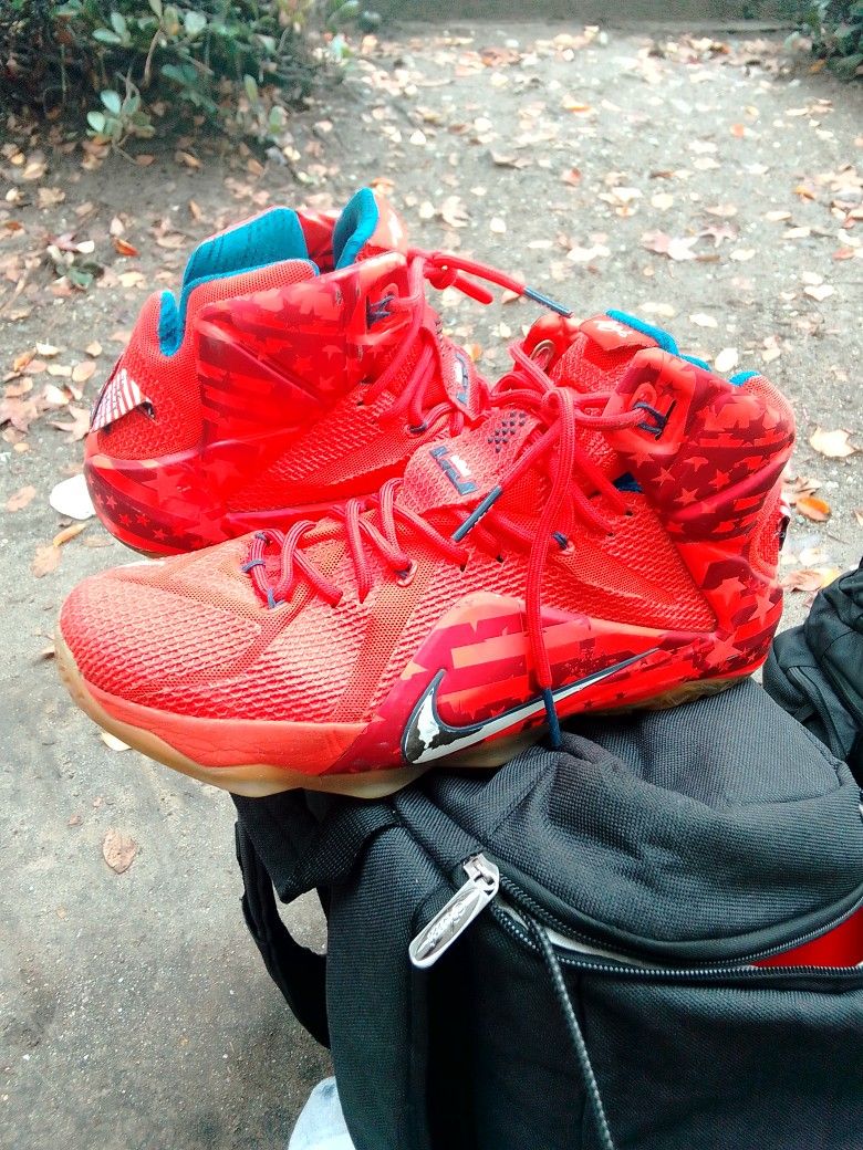 Lebron James Shoes