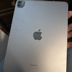 iPad Pro  4th gen  (lock)
