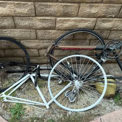 Everything Has To Go