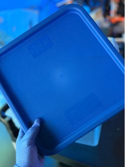 20 QT FOOD STORAGE WITH LID