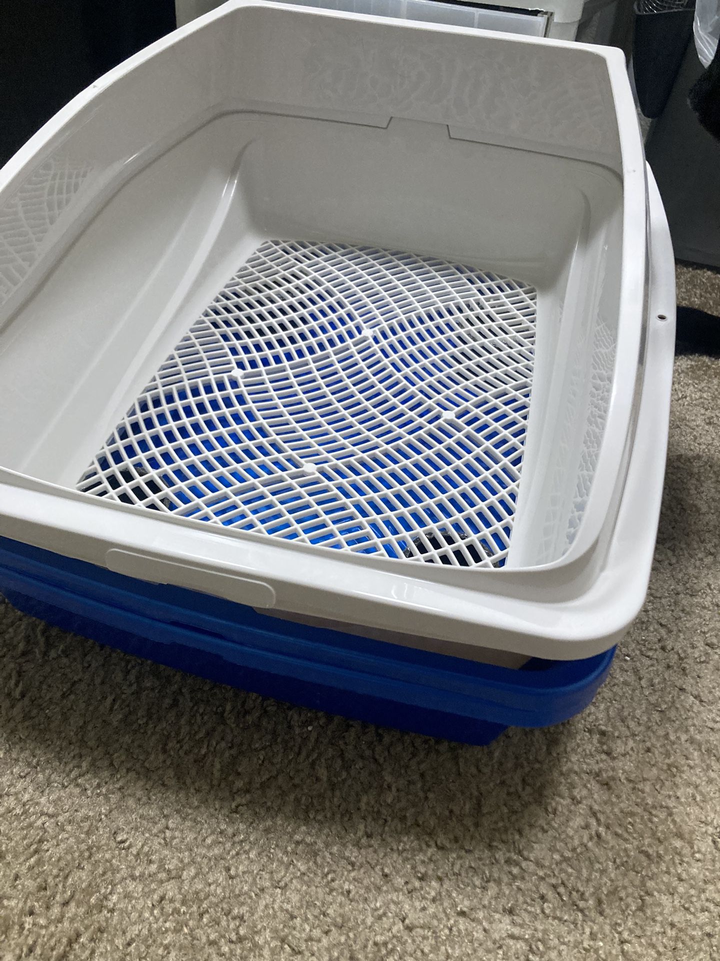 Litter Box