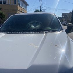Windows Windshield